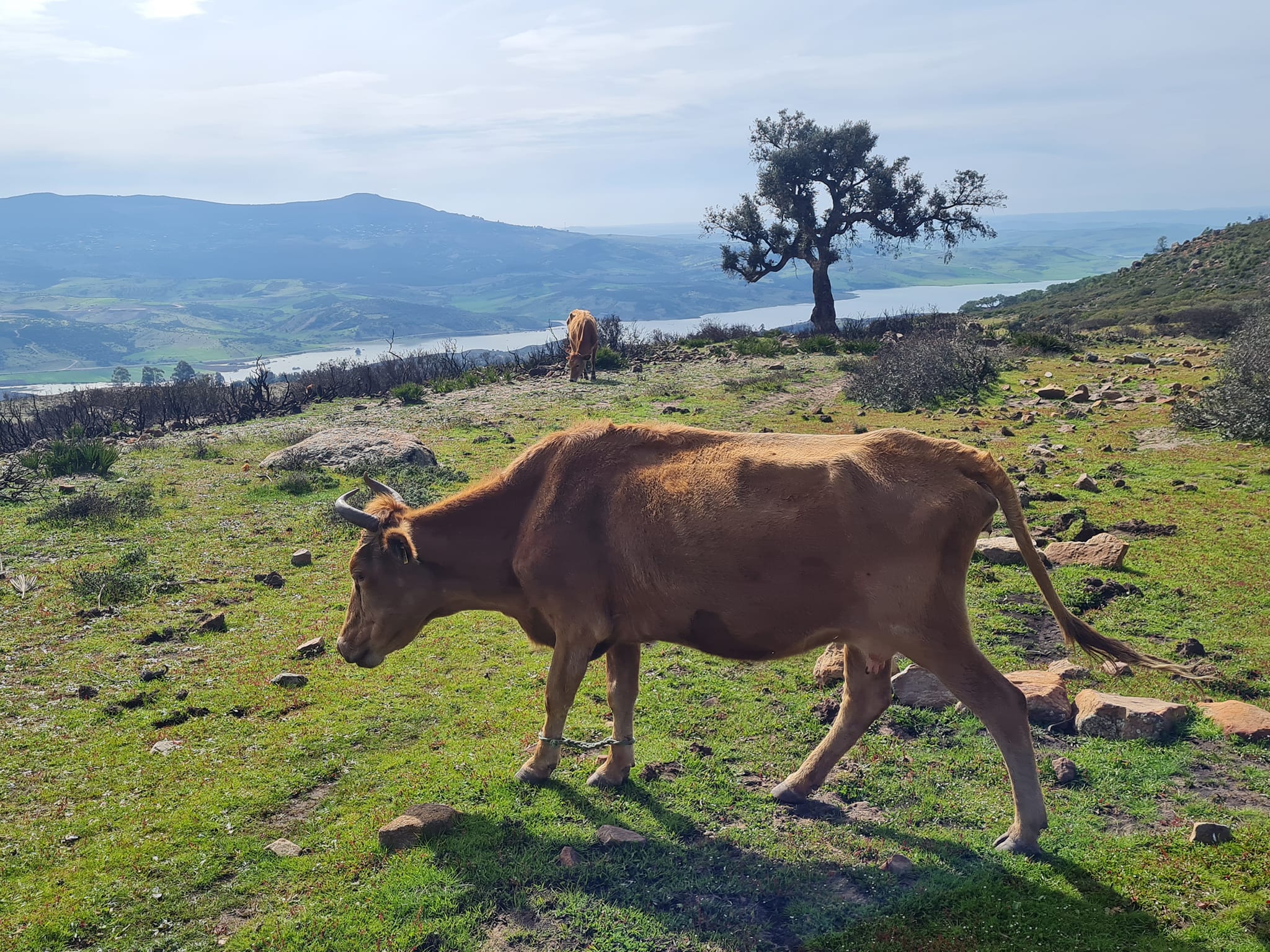 جبل السلخة تطوان