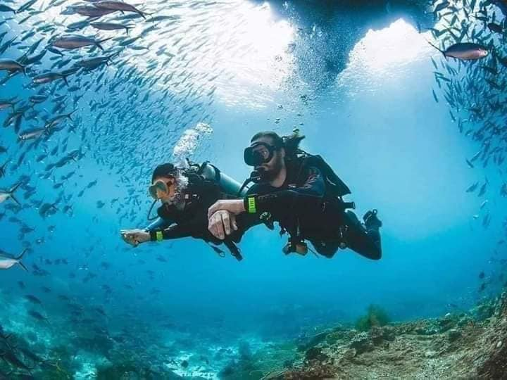 شواطئ بليونش - نشاط الغطس