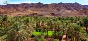 وادي درعة (Draa Valley) ورزازات Ouarzazate Morocco Maroc