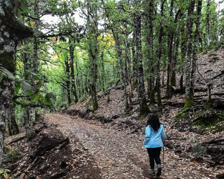 جبل الكربوع منتزه بوهاشم Mont Kerboue parc Bouhachem