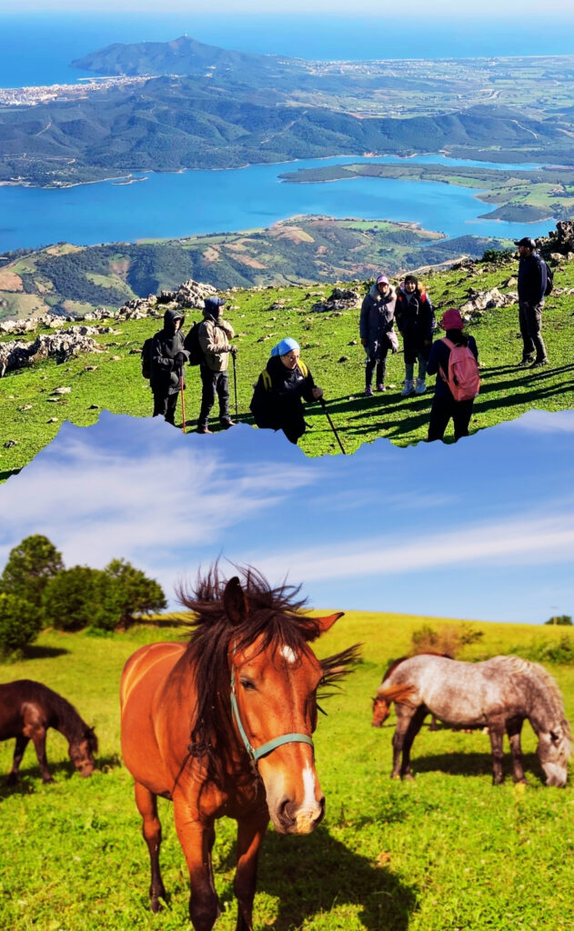 Mont Blanc - Fahs Mhar الجبل الأبيض - فحص المهر