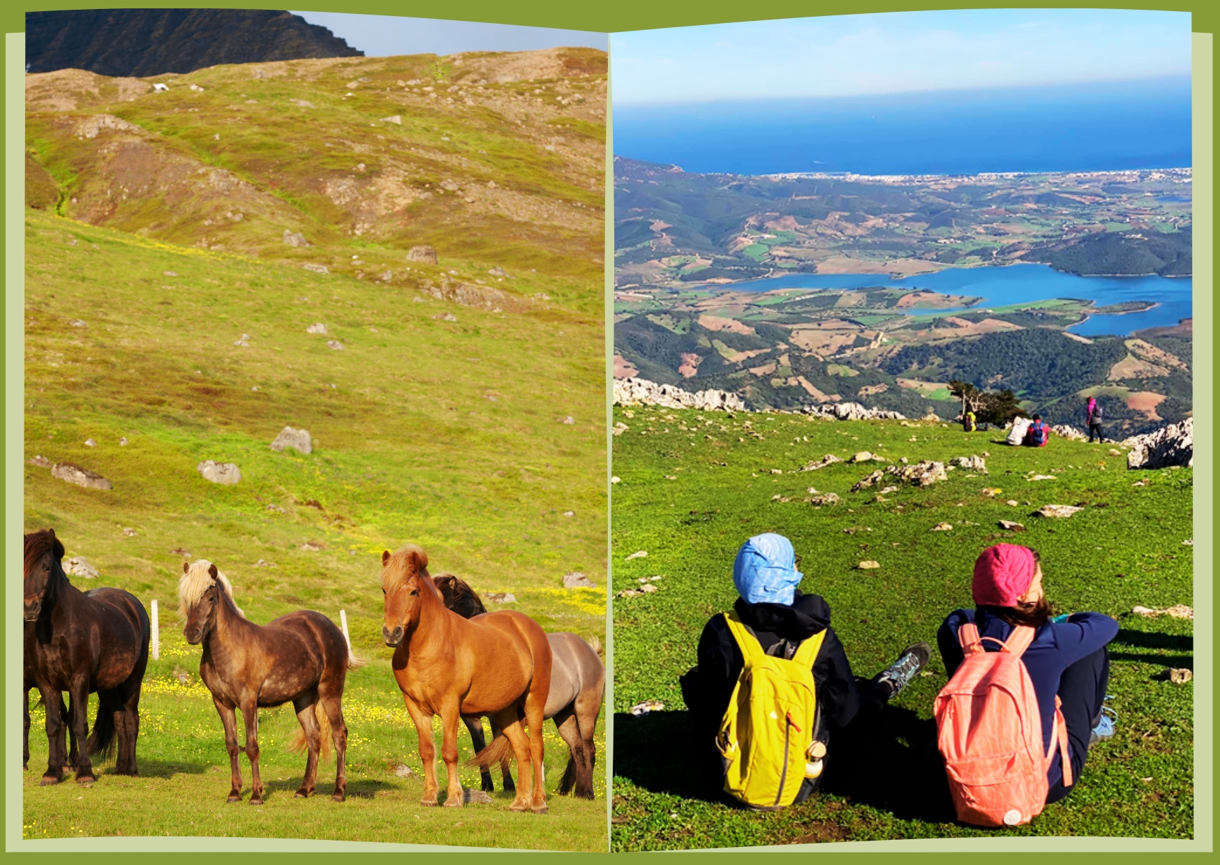 الجبل الأبيض - فحص المهر