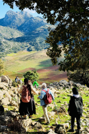 Jbel Thalouja منتزه تلاسمطان Parc Talassamtaneبل ثلوجة