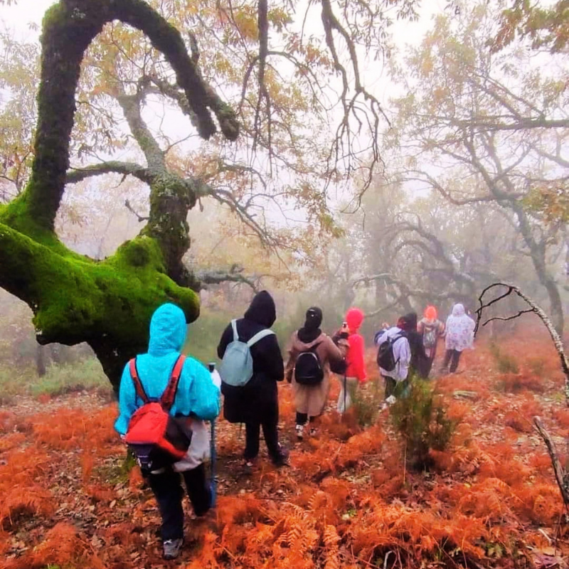 Groupe de randonneurs sur un sentier du mont Afchtal au cœur de la forêt