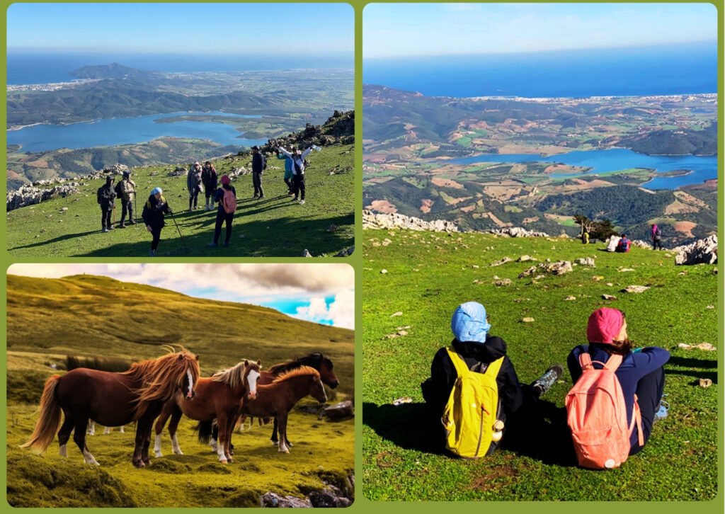 Mont Blanc Fahs Mhar الجبل الأبيض فحص المهر
