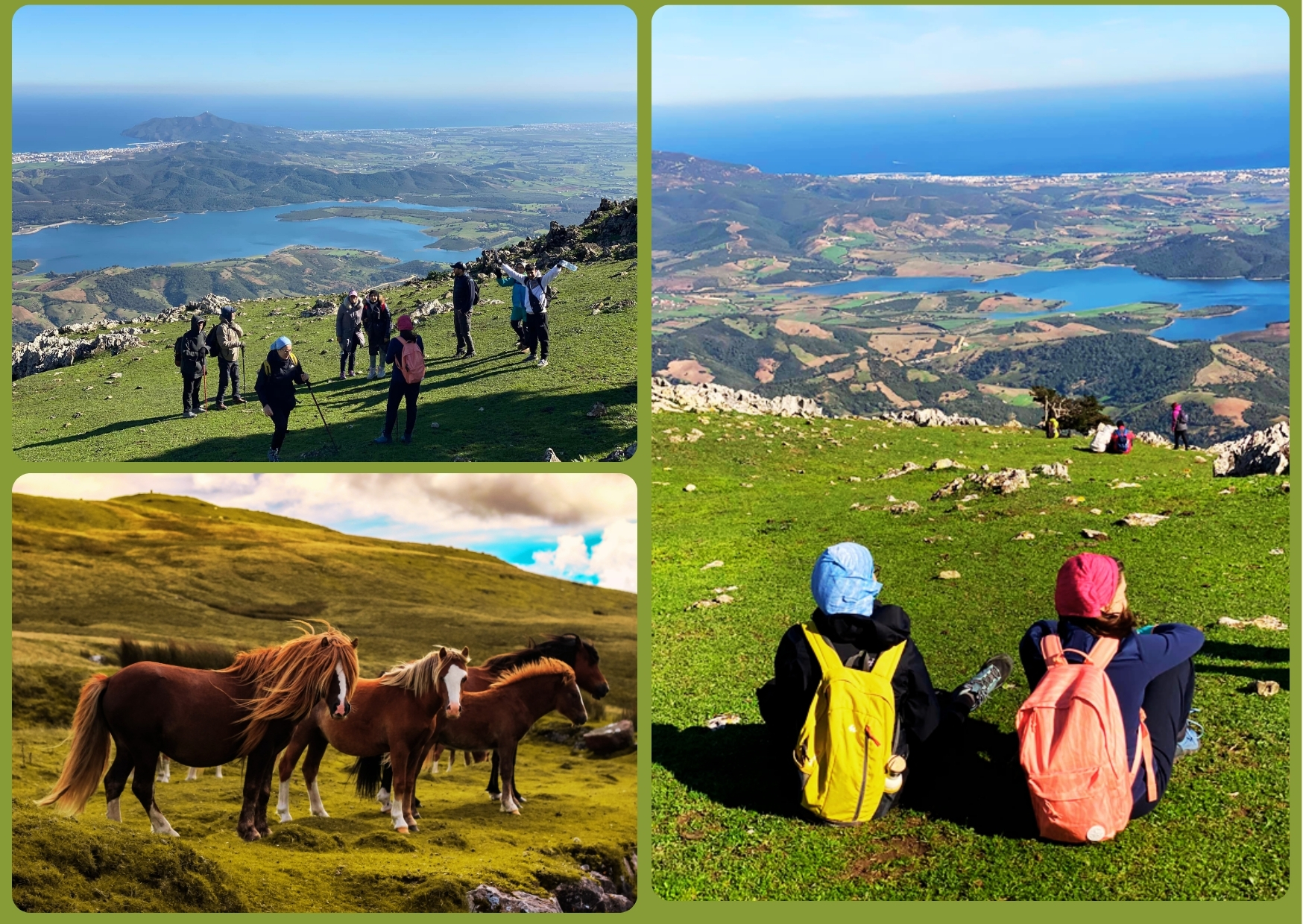 Mont Blanc Fahs Mhar الجبل الأبيض فحص المهر