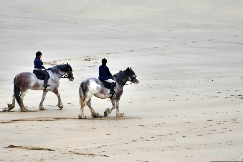 Activité Balade à cheval – Tanger – Tous les jours